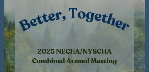 Save the Date: Better Together over a foggy background with pine trees